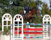 FRANCO Vinco io GioCav2013 S6 7737 : Campionati Italiani Giovani Cavalli, Cattolica, FRANCO Francesco, Vinco io, ph Stefano Secchi ©